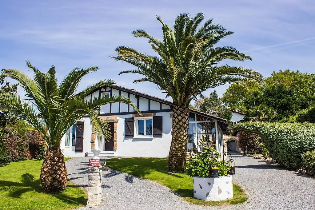 Villa Yoda-1