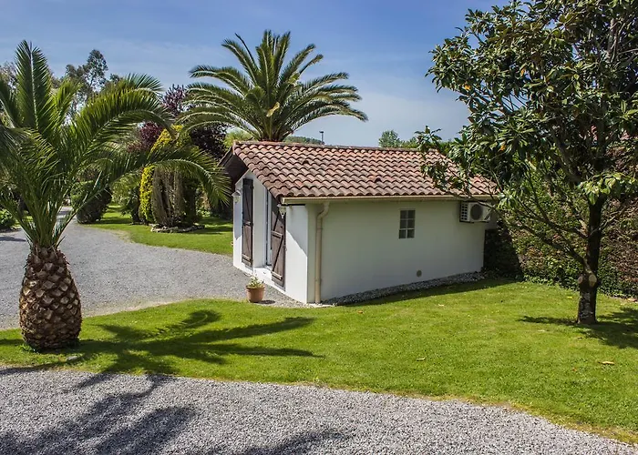 Villa Yoda